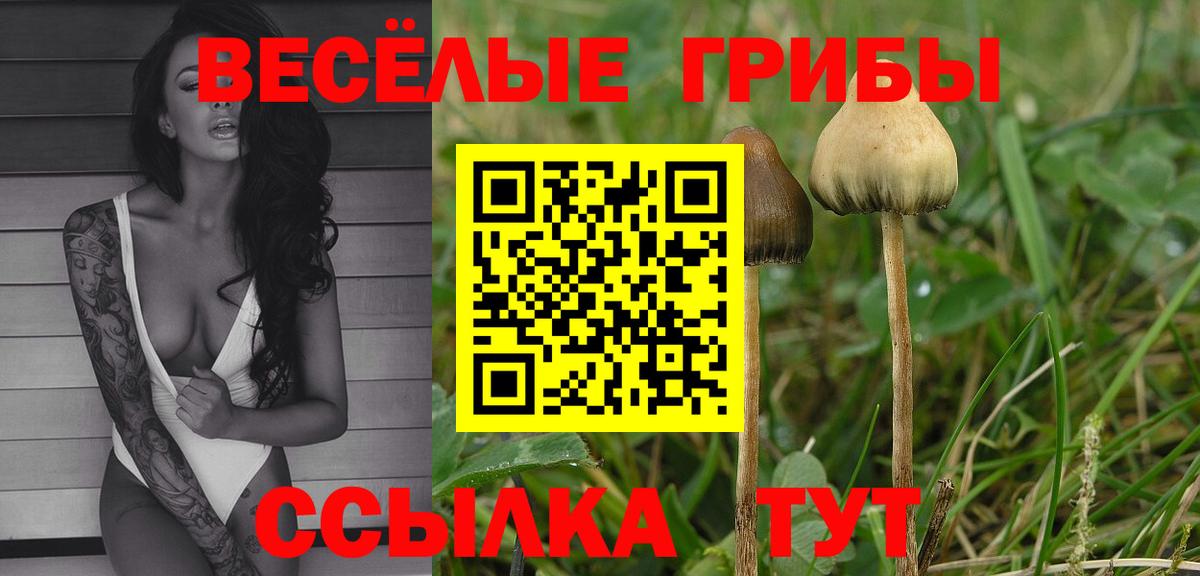 Лысьва  Галлюциногенные грибы мицелий  Псилоцибиновые грибы прущие грибы  как найти закладки  Вход с VPN 
