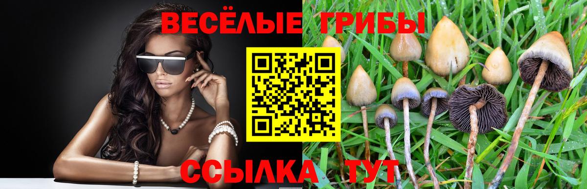 Псилоцибиновые грибы ЛСД Лысьва